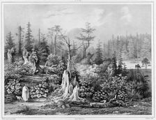 Vegetation around the settlement of Novo-Arkhangelsk (northwest coast of America), 19th century. Creators: Friedrich Heinrich Kittlitz, Louis-Pierre-Alphonse Bichebois
