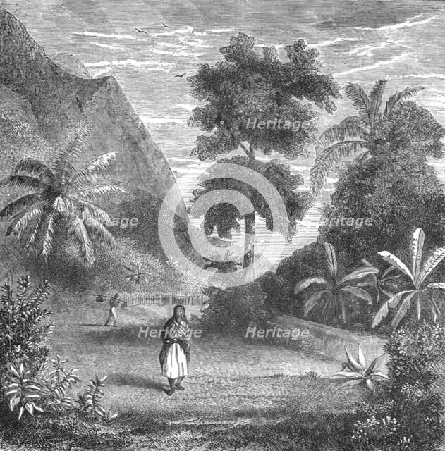 'Vegetation of Tahiti; Speculations concerning Former Southern Geographies', 1875. Creator: Unknown.