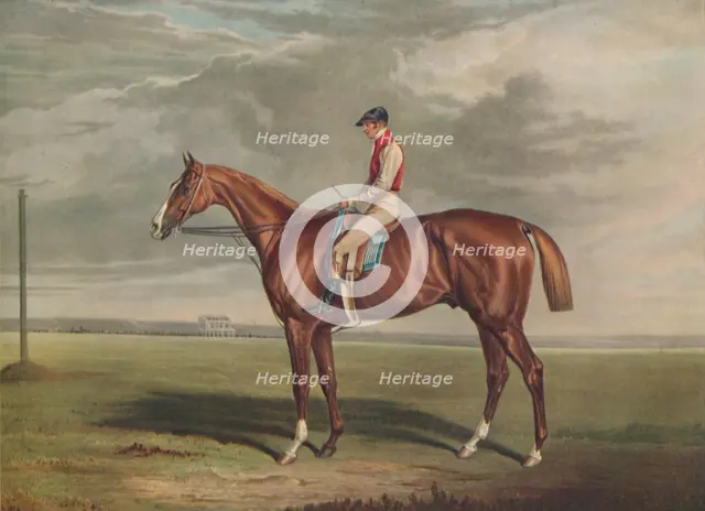 'Velocipede, Winner of the St. Leger, 1828', c1828, (1929). Artists: Edward Duncan, J Webb.