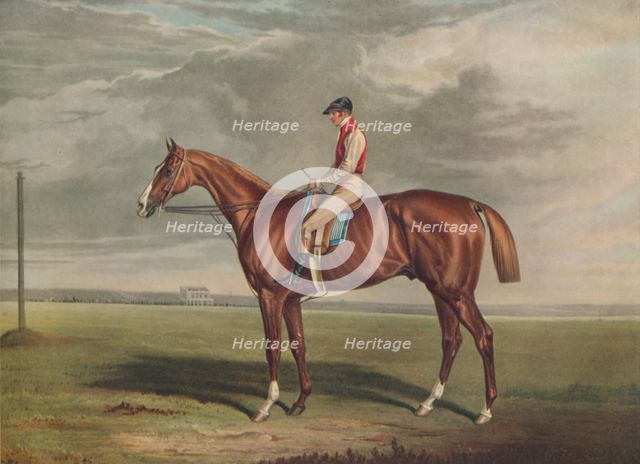 'Velocipede, Winner of the St. Leger, 1828', c1828, (1929). Artists: Edward Duncan, J Webb.