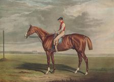 Velocipede, Winner of the St. Leger, 1828 c1828, (1929). Artists: Edward Duncan, J Webb