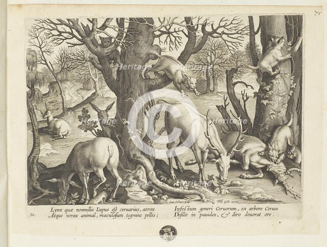 Venationes ferarum, avium, piscium (Hunts of wild animals, birds and fish). Plate 30, 1596. Creator: Hans Collaert the Younger.