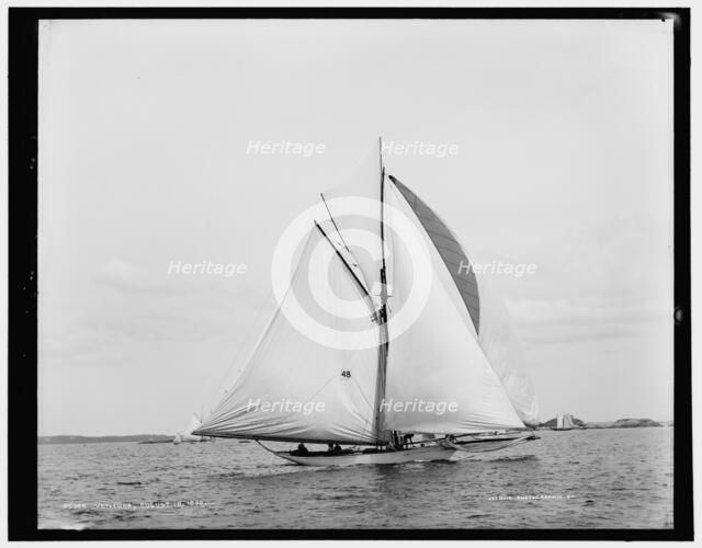 Ventura, 1890 Aug 18. Creator: Unknown.