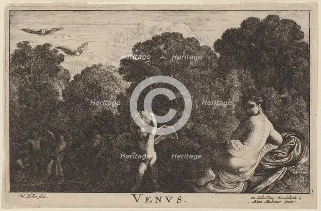 Venus. Creator: Wenceslaus Hollar.