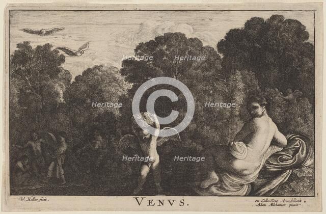 Venus. Creator: Wenceslaus Hollar.