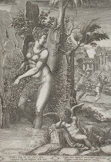 Venus and the Rose, 1556. Creators: Giorgio Ghisi, Luca Penni