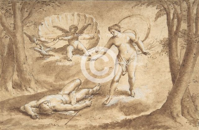 Venus Discovering the Death of Adonis, 17th century. Creator: Anon.