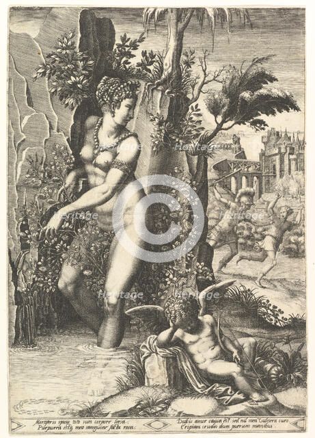 Venus pricked by the thorns on a rose bush, in the background Mars chasing Adonis, in the ..., 1556. Creator: Giorgio Ghisi.