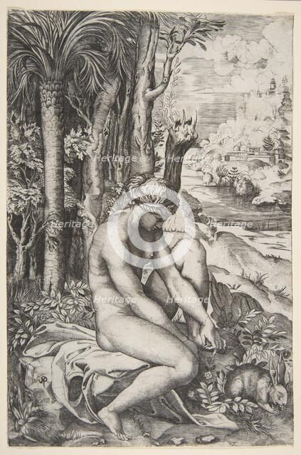 Venus removing a thorn from her left foot while seated on a cloth next to trees, a ..., ca. 1515-27. Creator: Marco Dente.