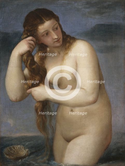 Venus Rising from the Sea (Venus Anadyomene), 1520.