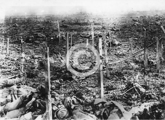 Verdun 1916, 1916.