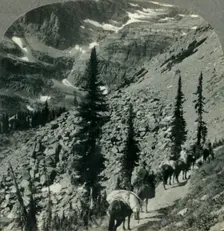 Verdure and Snowbanks along the Trail to Lincoln Pass, Glacier Nat. Park, Mont. c1930s. Creator: Unknown