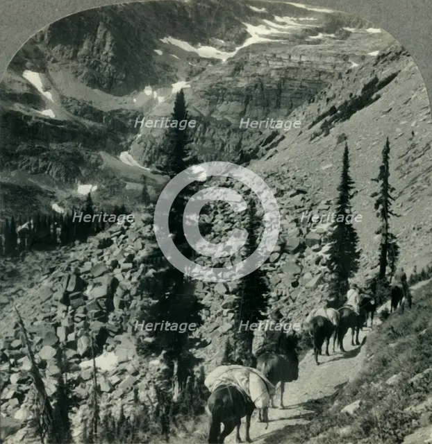 'Verdure and Snowbanks along the Trail to Lincoln Pass, Glacier Nat. Park, Mont.', c1930s. Creator: Unknown.
