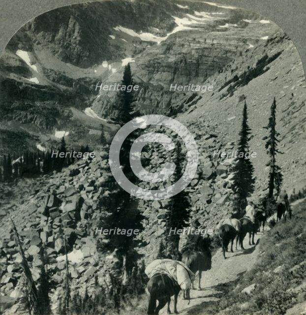 'Verdure and Snowbanks along the Trail to Lincoln Pass, Glacier Nat. Park, Mont.', c1930s. Creator: Unknown.