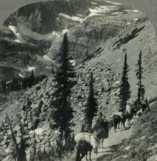 Verdure and Snowbanks along the Trail to Lincoln Pass, Glacier Nat. Park, Mont. c1930s. Creator: Unknown