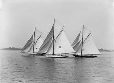 Verena, Chiquita and Minerva, 1889 July 13. Creator: Unknown