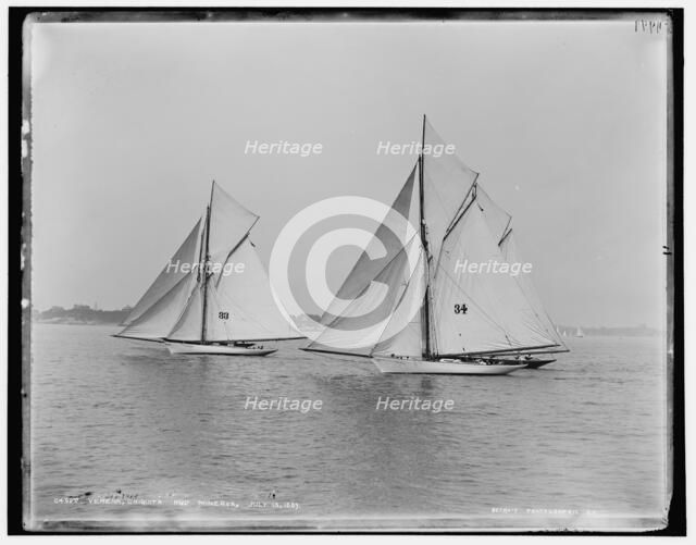 Verena, Chiquita, and Minerva, 1889 July 13. Creator: Unknown.