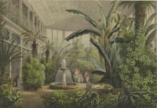 Verkiai Palace. Interior of conservatory, 1847-1852