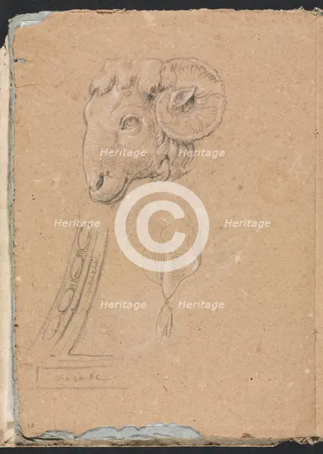 Verona Sketchbook: Ram's head (page12), 1760. Creator: Francesco Lorenzi (Italian, 1723-1787).