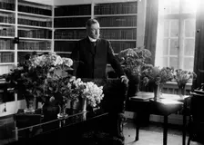Verner von Heidenstam, Swedish poet and novelist, 1929. Creator: Unknown