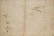 Verso: Studies of a Man's leg, c1490-1560. Artist: Michelangelo Buonarroti