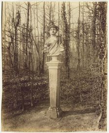 Versailles, Trianon, (Coin de Parc), 1902. Creator: Eugene Atget