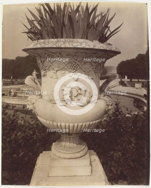 Versailles, Vase, 1905. Creator: Eugene Atget.