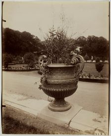 Versailles, Vase par Ballin, 1902. Creator: Eugene Atget
