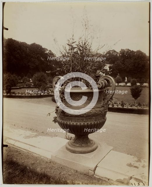 Versailles, Vase par Ballin, 1902. Creator: Eugene Atget.