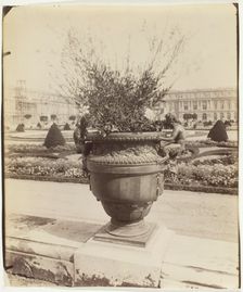 Versailles, Vase par Ballin, 1902. Creator: Eugene Atget