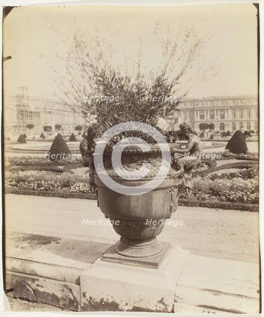 Versailles, Vase par Ballin, 1902. Creator: Eugene Atget.