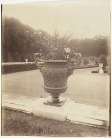 Versailles, Vase par Ballin, 1902. Creator: Eugene Atget