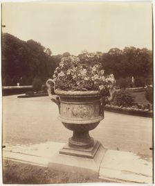 Versailles, Vase par Ballin, 1902. Creator: Eugene Atget