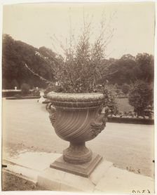 Versailles, Vase par Ballin, 1902. Creator: Eugene Atget