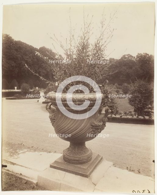 Versailles, Vase par Ballin, 1902. Creator: Eugene Atget.
