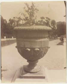 Versailles, Vase par Ballin, 1905. Creator: Eugene Atget