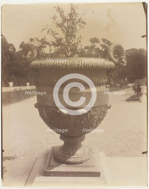 Versailles, Vase par Ballin, 1905. Creator: Eugene Atget.