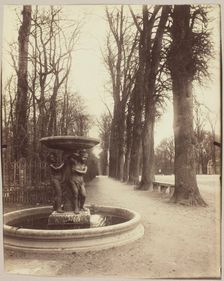 Versailles, Coin de Parc, 1902. Creator: Eugene Atget