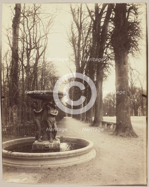Versailles, Coin de Parc, 1902. Creator: Eugene Atget.