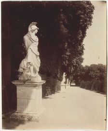 Versailles, Coin de Parc, 1903. Creator: Eugene Atget