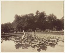 Versailles, Coin de Parc, 1903. Creator: Eugene Atget