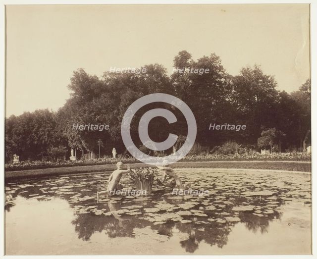 Versailles, Coin de Parc, 1903. Creator: Eugene Atget.