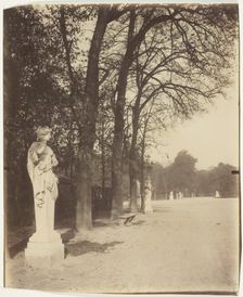 Versailles, Coin de Parc, 1904. Creator: Eugene Atget