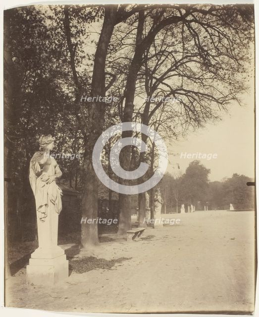 Versailles, Coin de Parc, 1904. Creator: Eugene Atget.