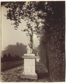 Versailles, Coin de Parc, 1904. Creator: Eugene Atget
