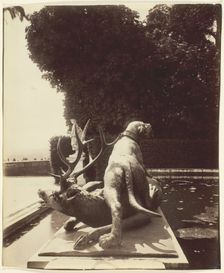 Versailles, Fontaine de Point du Jour, (Limier Abattant un Cerf par Houzeau), 1903. Creator: Eugene Atget