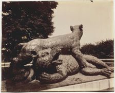Versailles, Fontaine du Point du Jour, (Tigre Terrassant un Ours par Houzeau), 1903. Creator: Eugene Atget