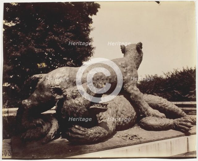 Versailles, Fontaine du Point du Jour, (Tigre Terrassant un Ours par Houzeau), 1903. Creator: Eugene Atget.