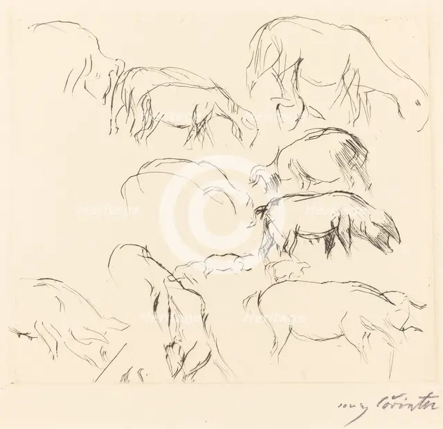 Verschiedene Tierstudien (Animal Studies), 1917. Creator: Lovis Corinth.