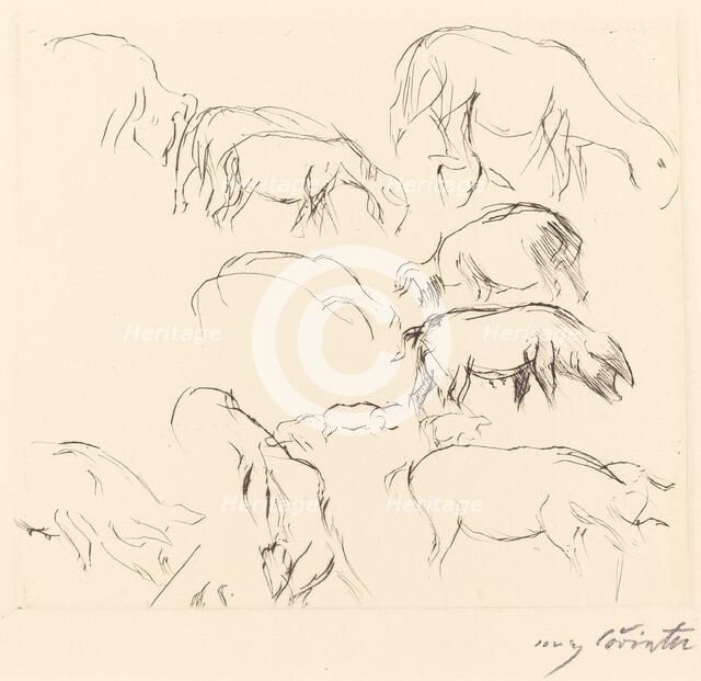 Verschiedene Tierstudien (Animal Studies), 1917. Creator: Lovis Corinth.